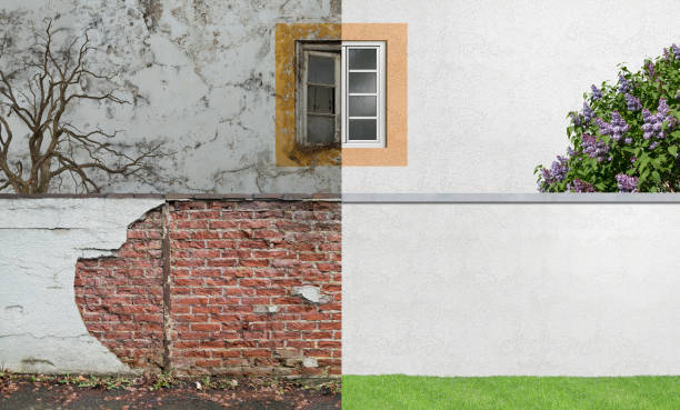 Best Mold Documentation for Insurance Claims  in Rden, WA