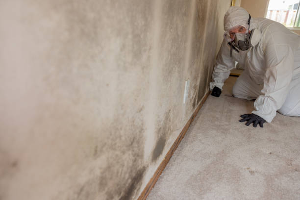 Best Dehumidification Services  in Rden, WA